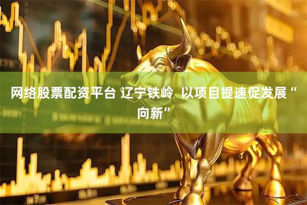 网络股票配资平台 辽宁铁岭  以项目提速促发展“向新”